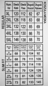 Koszula męska krótki rękaw w drobny wzór nadwymiar 