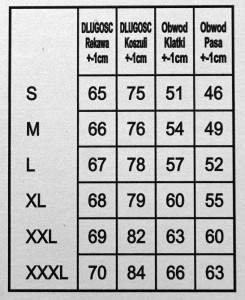 Koszula męska długi rękaw w drobny wzór