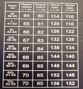 Koszula męska regular fit struktura w niebieski wzór 
