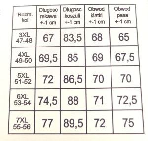 Koszula męska długi rękaw Regularna biała w błękitny wzór strzałki i kropka  
